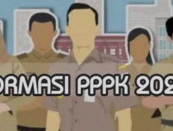 Berkat Kerja Keras Suhardiman Amby, Kuansing Dapat Kuota PPPK 2024 Sebanyak 2.410 Formasi