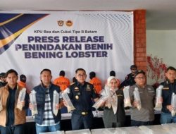 Penyelundupan Rp 26,9 M Benih Lobster Berhasil Digagalkan Bea Cukai Batam, 6 Pelaku Ditangkap