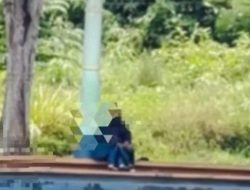 Viral di Medsos, Video Sejoli Sedang Asyik Mesum di Taman Kolam Kijang Kabupaten Bintan