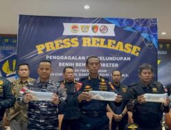 Bea Cukai Kepri Gagalkan Penyelundupan 189.000 Benih Lobster Senilai Rp19,2 Miliar