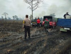 Ratusan Hektar Lahan TN Way Kambas Terbakar Selama Dua Hari