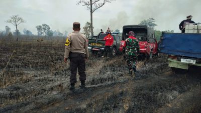 Ratusan Hektar Lahan TN Way Kambas Terbakar Selama Dua Hari