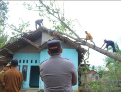 Tinjau Lokasi Bencana Angin Kencang di Sukoharjo Pringsewu, Kapolda Berikan Tali Asih