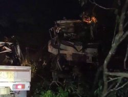 BREAKING NEWS : Kecelakaan, Truk Trailer Hancur Nabrak Pohon di Bukit Daeng Batam