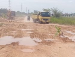 Miris ! Bertahun-tahun Dibiarkan Rusak, Warga Tanam Pohon Pisang di Jalan Marina Kelurahan Tanjung Riau