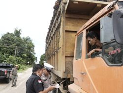 Lapor Pak Bupati, Selain PT. GSL, Pemilik DO di PKS PT. TAL Diduga Juga Terima TBS Ilegal Dari Toro, Ini Dalangnya.