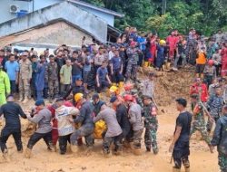 4 Korban Ditemukan, Evakuasi Korban Longsor Tiban Koperasi Resmi Ditutup