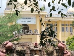 Dibalik Dugaan Paksa Tehadap Pemerintah Desa, Nama Kepala Dinas PMD Rohil Ikut Terseret