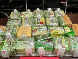 Polda Lampung Berhasil Gagalkan Penyelundupan 24 Kg Sabu di Pelabuhan Bakauheni