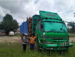 Sopir Truk Nakal Ditilang Polisi karena Bawa Kayu Akasia 14 Ton saat Lebaran