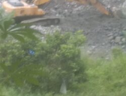 Wow Fantastis ! Ratusan Alat Berat Tambang llegal Beroperasi Secara TSM di Pasaman Barat dan Pasaman