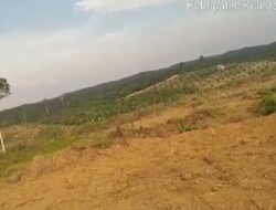 Kabar Baik, Polisi Akan Lidik Kasus Dugaan Perambahan Hutan Lindung di Pucuk Rantau. 
