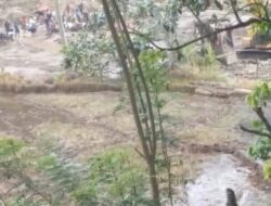 Aktifitas PETI di Pasaman, Diduga Kuat H. Amir Kebal Hukum.