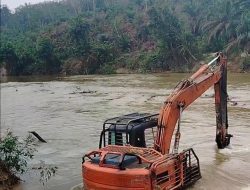 Warga Tantang Kapolda Riau Usut Perambahan Hutan Kawasan Tanpa Pandang Buluh.