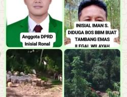 Sejumlah Excavator Aktivitas PETI dan Menyeret Beberapa Nama ; Oknum Anggota DPRD, Oknum Polsek, Oknum Polres dan Lainnya