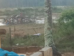 Lahan Sekitaran PT. Agrinas Palma Nusantara di Gasak Pelaku PETI.
