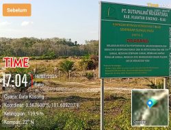 Soal Maraknya Aktivitas PETI di Wilayahnya, Ini Kata GM Agrinas Wilayah Kuansing I.